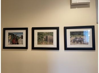 Original Africa Safari Prints - Framed
