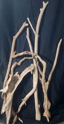 7 Pieces Of Driftwood