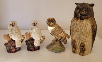 Owl Collectors