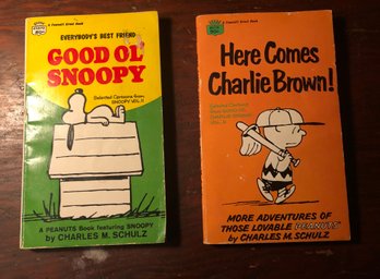 2 Vintage Snoopy And Charlie Brown Books