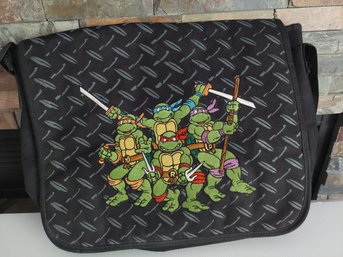Teenage Mutant Ninja Turtles Messenger Bad