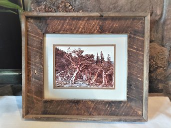 Rustic Framed And Matted Bristlecone Pines