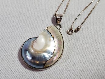 Nautilus Shell Sterling Silver Shell Necklace