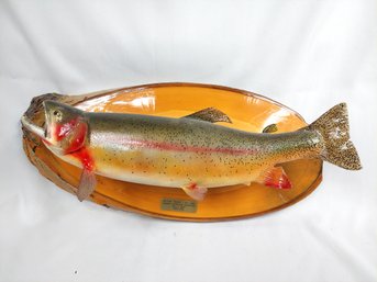 Native Trout Taxidermy On Wood Plaque