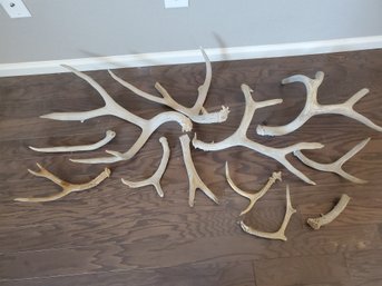 Lot Of Real Antlers Horns #2
