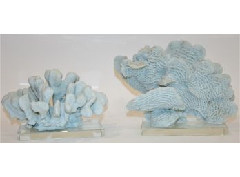 Two Blue Coral Sculptures On Lucite Base