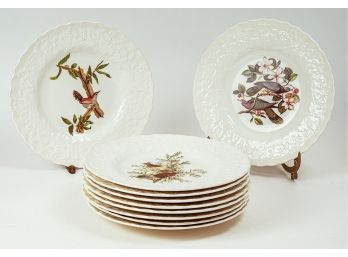 Ten (10) Alfred Meakin Birds Of America Dinner Plates