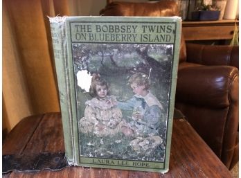 Bobbsey Twins On Blueberry Island By Laura Lee Hope
