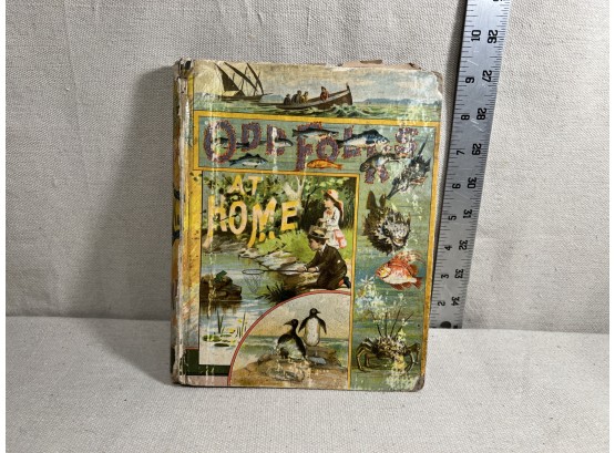 1883 Vintage Book: Odd Folks At Home By C.L. Mateaux