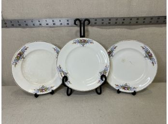3 Vintage Derwood W.s. George China Plates