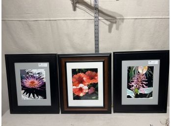 Set Of 3 Framed Floral Prints 16x19