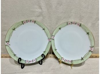 2 Vintage China Plates: Pink/green Floral Made In Bavaria