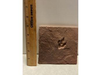 Jurassic Predator Footprint
