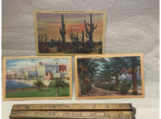 Vintage California Postcards, Set Of Three, Unused