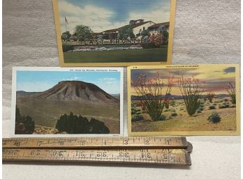 Three Vintage Desert Themed Postcards