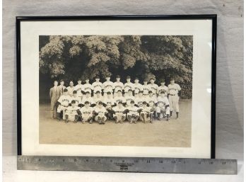 Princeton University Baseball Team Photo