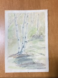 Birch Trees , Watercolor On Paper. JH