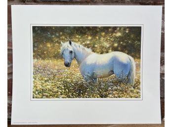 Bonnie Marris Signed & Numbered Print 'Sunbath' White Horse In Meadow Greenwich Workshop COA 16.25' X 12.75'