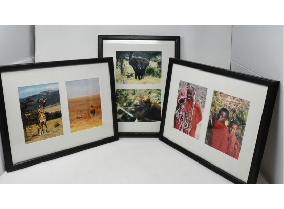 Three Framed Sets Of Amateur Photography From An African Safari