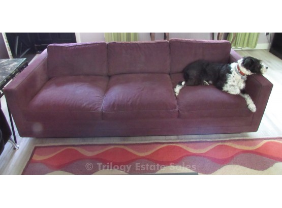 Modern Purple Sofa