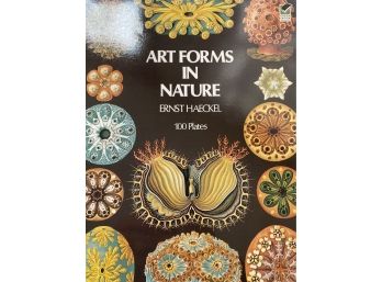 Art Forms In Nature Art Book