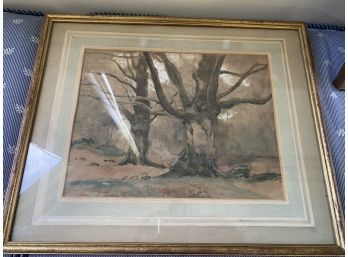 Unsigned Framed Trees