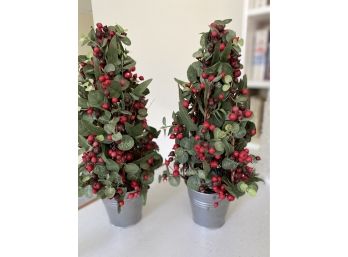Two Red Berry Trees