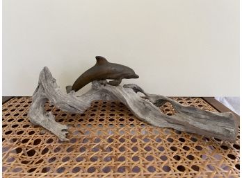Dolphin On Driftwood