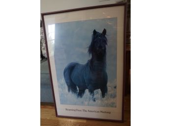 Roaming Free American Mustang Framed Poster
