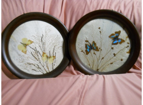 Victorian Pressed Flowers And Butterfly Wings