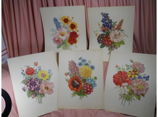 Flower Study Prints