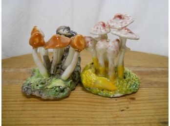 Mushroom Samples , Crafted In Porcelain