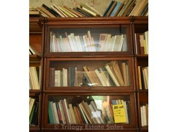 Globe-Wernicke Barrister's Bookcase #4