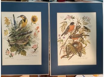 2 Audubon Matted Prints By Arthur Singer