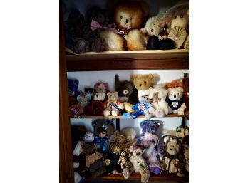 Shelf #27  Lot Of 40 Bears/ty Beanies