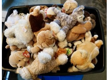 Box #28 Lot Of 50  TY Beanie Dogs