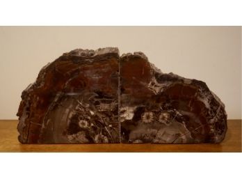 Petrified Wood Bookends 9 X8 X 3 1/2D