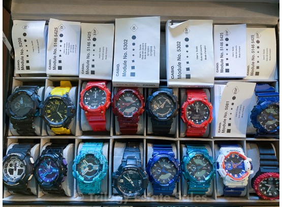 15 Casio G-Shock Watches In Display Box #15253 | Auctionninja.com