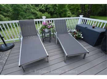 Two Chaise Lounges