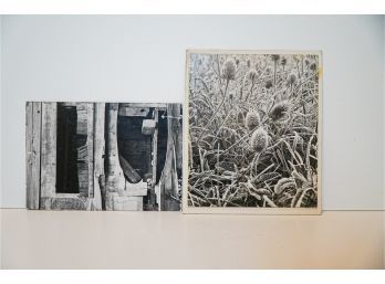 2 Black And White Photographs By Joseph Pentick ~ Buffalo Fine Arts Academy Albright Art Gallery Exhibit