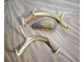 Lot Of Antlers (3)