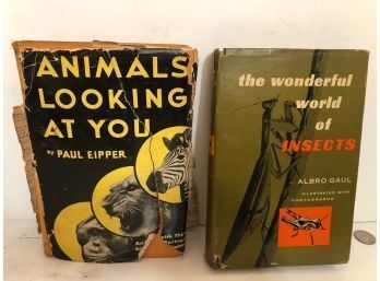 Animals Looking At You And The Wonderful World Of Insects Signed