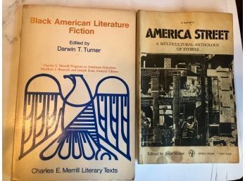 Black American Literature And America Street A Multicultural Anthology Of Stories