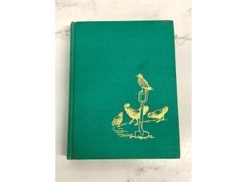 Birds In Our Lives 1966 US Dept Of Interior 1st Edition No Jacket