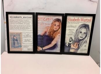 Set Of Three Framed Promotional Book Posters Prozac Nation, Bitch!?