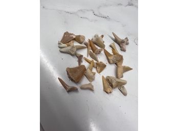 Lot Of Shark Teeth With Original Packaging Approx 40 Years Old