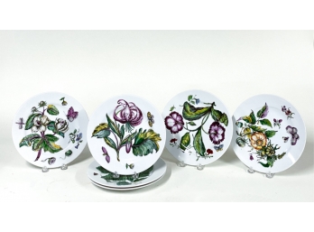 (6) MOTTAHEDEH 'THE EXOTIC PLANT' PLATES