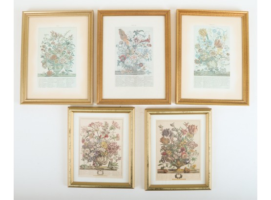 (5) FRAMED FLORAL PRINTS after (18th c) EXAMPLES