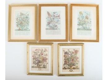 (5) FRAMED FLORAL PRINTS after (18th c) EXAMPLES