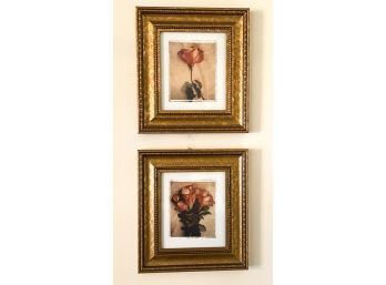 (4) CONTEMPORARY FRAMED PRINTS of FLOWERS